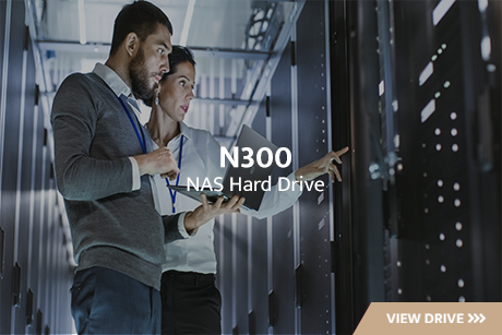 Homepage Product N300