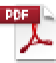 pdf_icon 1